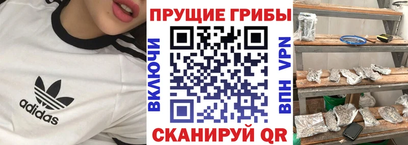 Псилоцибиновые грибы Psilocybe  наркошоп  Чулым 